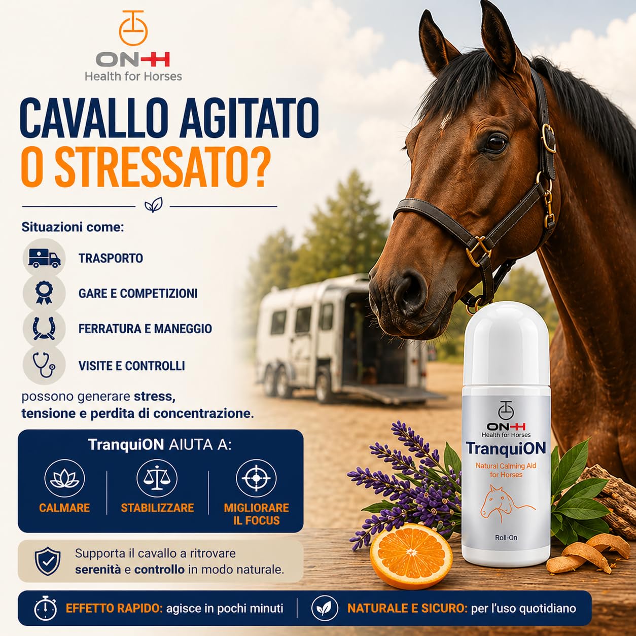 ON-H TranquiON Roll-On per Cavalli | Gel Rilassante Naturale Antistress | Applicazione Localizzata - Ideale Prima di Trasporto, Gara e Lavoro | azione Calmante senza Sedazione | Uso Quotidiano