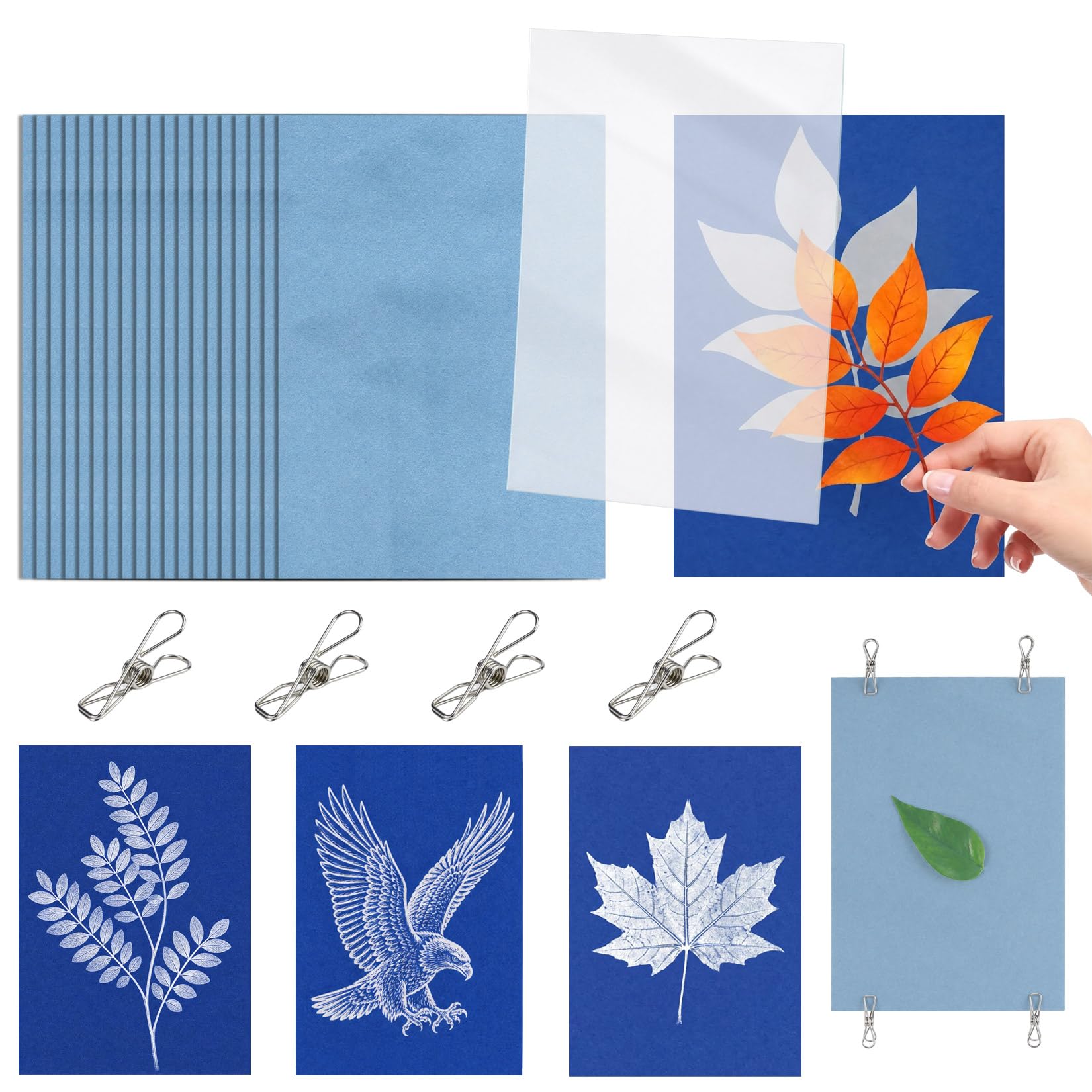 BaBahuanhuan Cyanotype Paper Kit - 32PCS A4 High Sensitive Sun Art Paper Kit with Acrylic Panel and 10 Clips, 11.69×8.27 Inch Nature Printing Papers Set for Kids Adults Arts Crafts