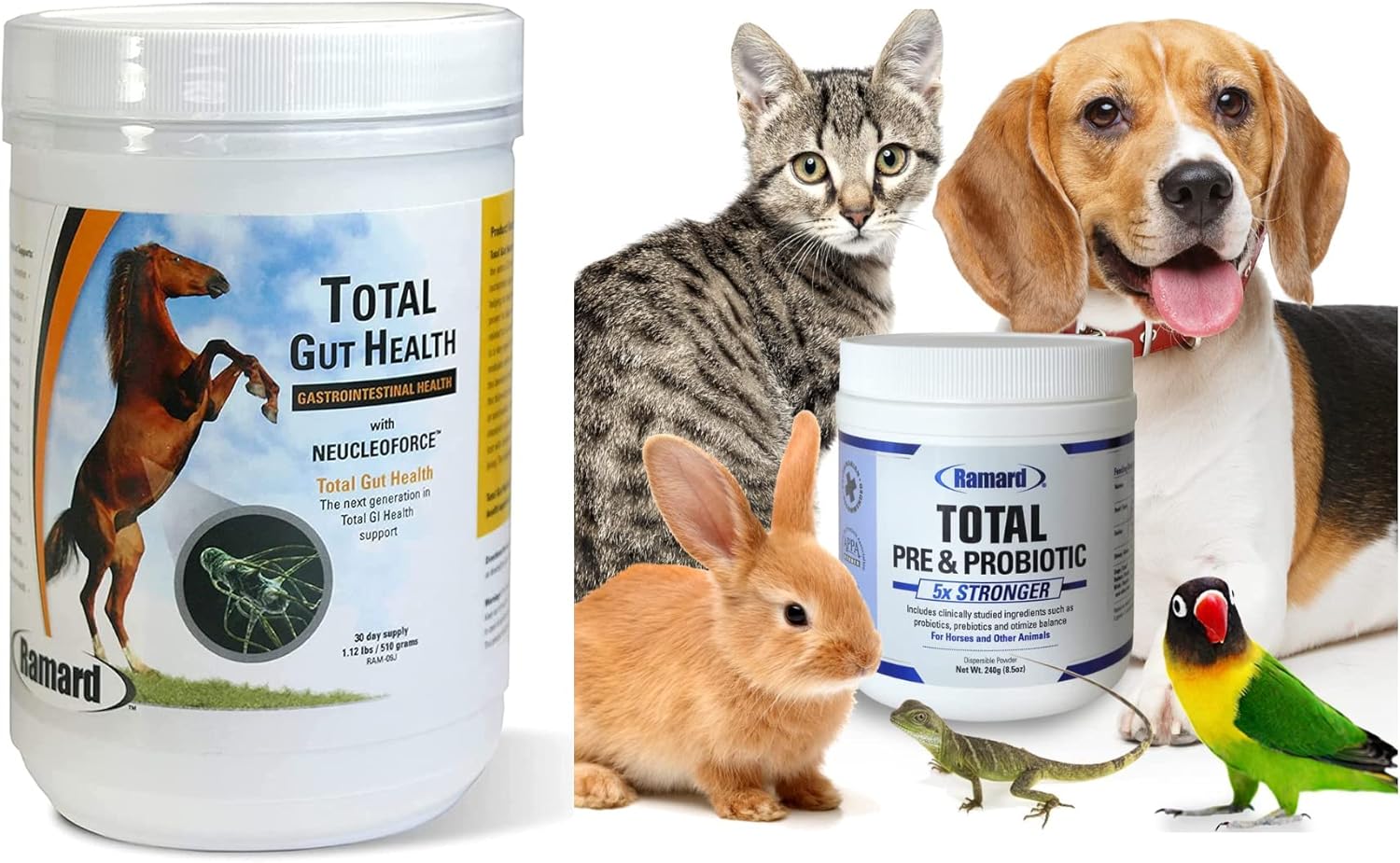 Ramard Total Gut Health Equine Digestive Support Supplement & Pre & Probiotic