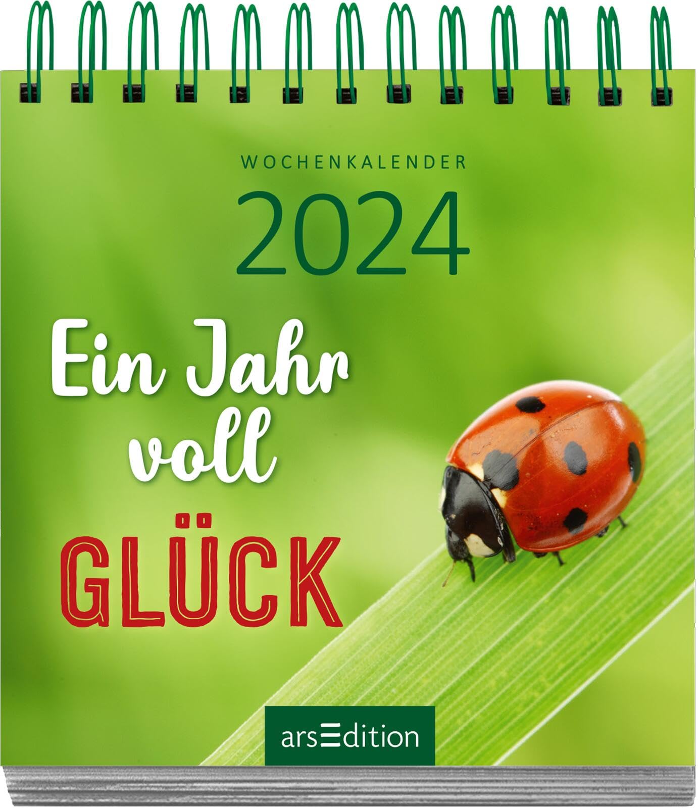 Display Mini-Wochenkalender 2024: Mit 10 x 5 Ex. | Kleine Tischkalender voller Inspirationen für jeden Tag
