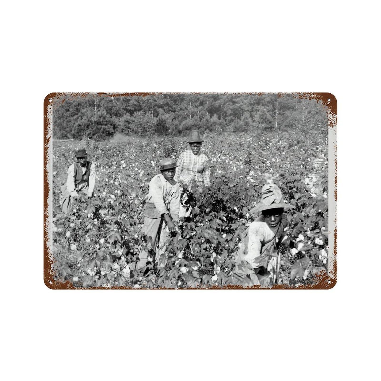xiaoxiaoshen Black History Month African American Women, Vintage Slavery Photograph Wall Decor Art Metal Tin Poster Modern Home Decor Art Home Bar Shop Decorations Vintage Sign 20x30cm