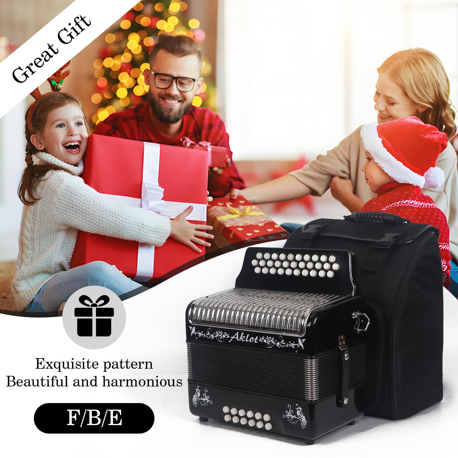 AKLOT Fisarmonica: Fisarmonica 31 Tasti 12 Base F/B/E per Adulti, Fisarmonica Diatonica per Principianti, Fisarmonica con Valigetta da Trasporto, Cinghia Nero