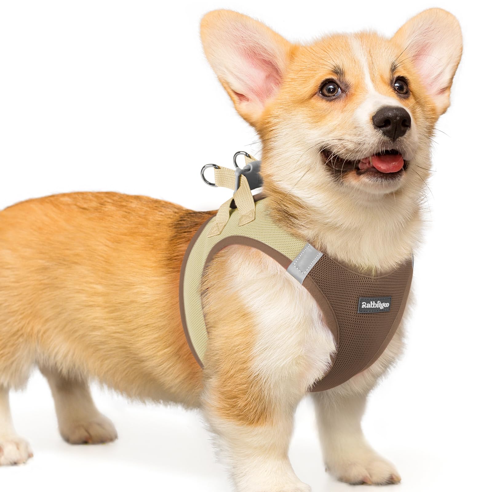 rabbitgoo Hundegeschirr kleine Hunde, Step-in Soft Mesh Hundegeschirr mit Sicherheitsverschluss, atmungsaktives und reflektierendes Welpengeschirr für kleine Hunde