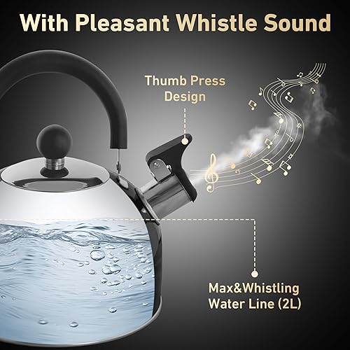 Miniatura 4 de Lily's Home - Hervidor de té silbido de acero inoxidable de 2 cuartos de galón, el té y las calderas de agua perfectas para tu hogar, dormitorio,