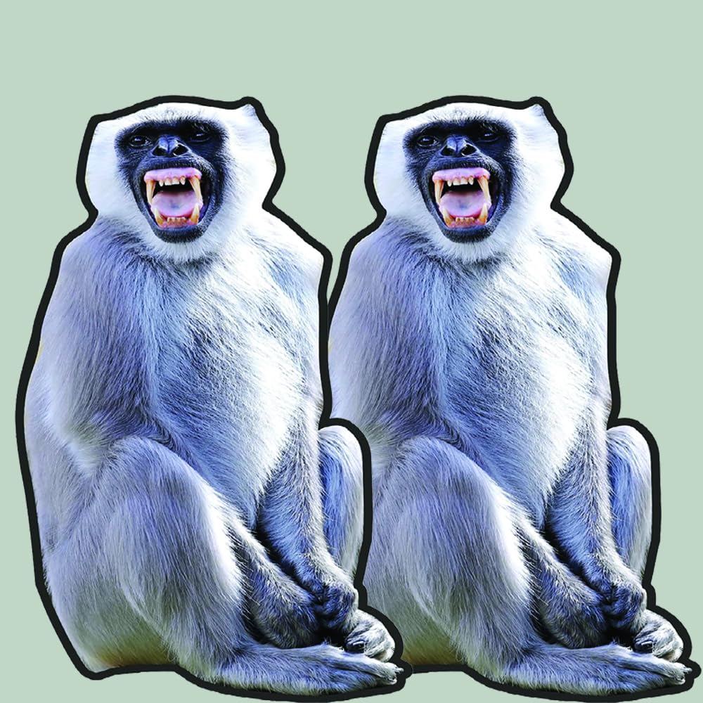 Wildlife Monkey Langoor Cutout with 5mm sunpack (Pack of 2 pcs Set), Foldable with Eyelet, Decorating for Rooftop/Garden/shoproof etc.