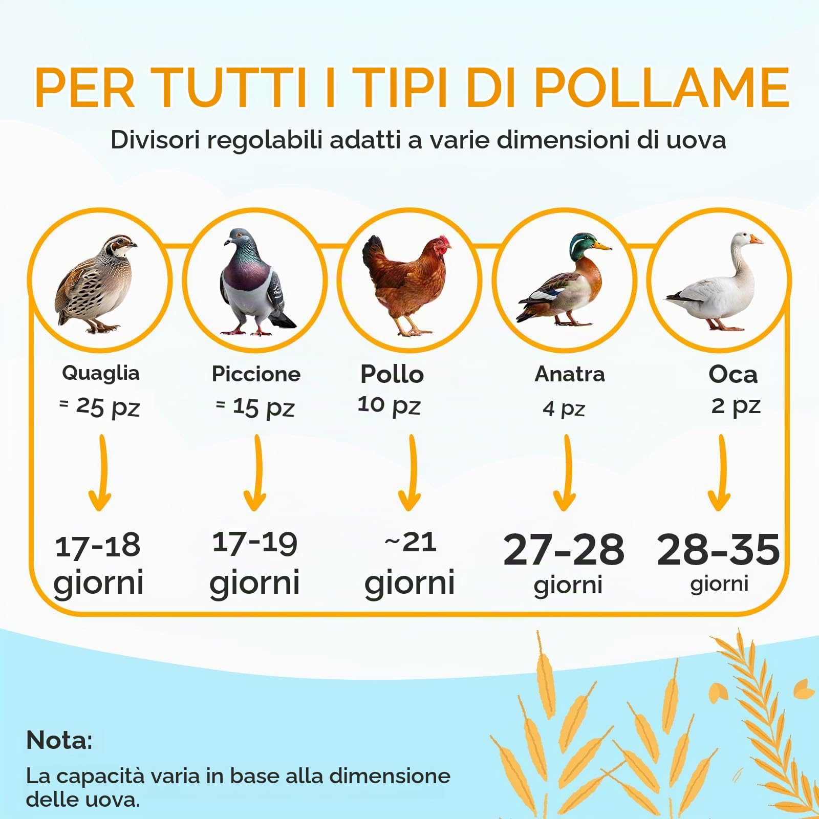 M12 - Incubatrice Uova Gallina, Facile da Usare e Pulire, Vista a 360 | Automatica con Girauova Automatico e Controllo Umidità, Precisi della Temperatura, Versatile e Spaziosa - Bianco e Giallo
