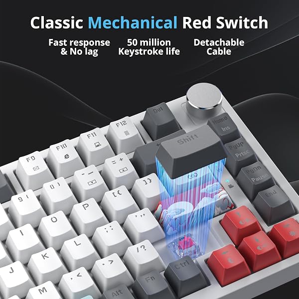 Tastiera meccanica con guarnizione al 75%, tastiera RGB meccanica cablata personalizzata TKL al 75% sostituibile a caldo con cuscinetti fonoassorbenti, QWERTY americana programmabile - 4