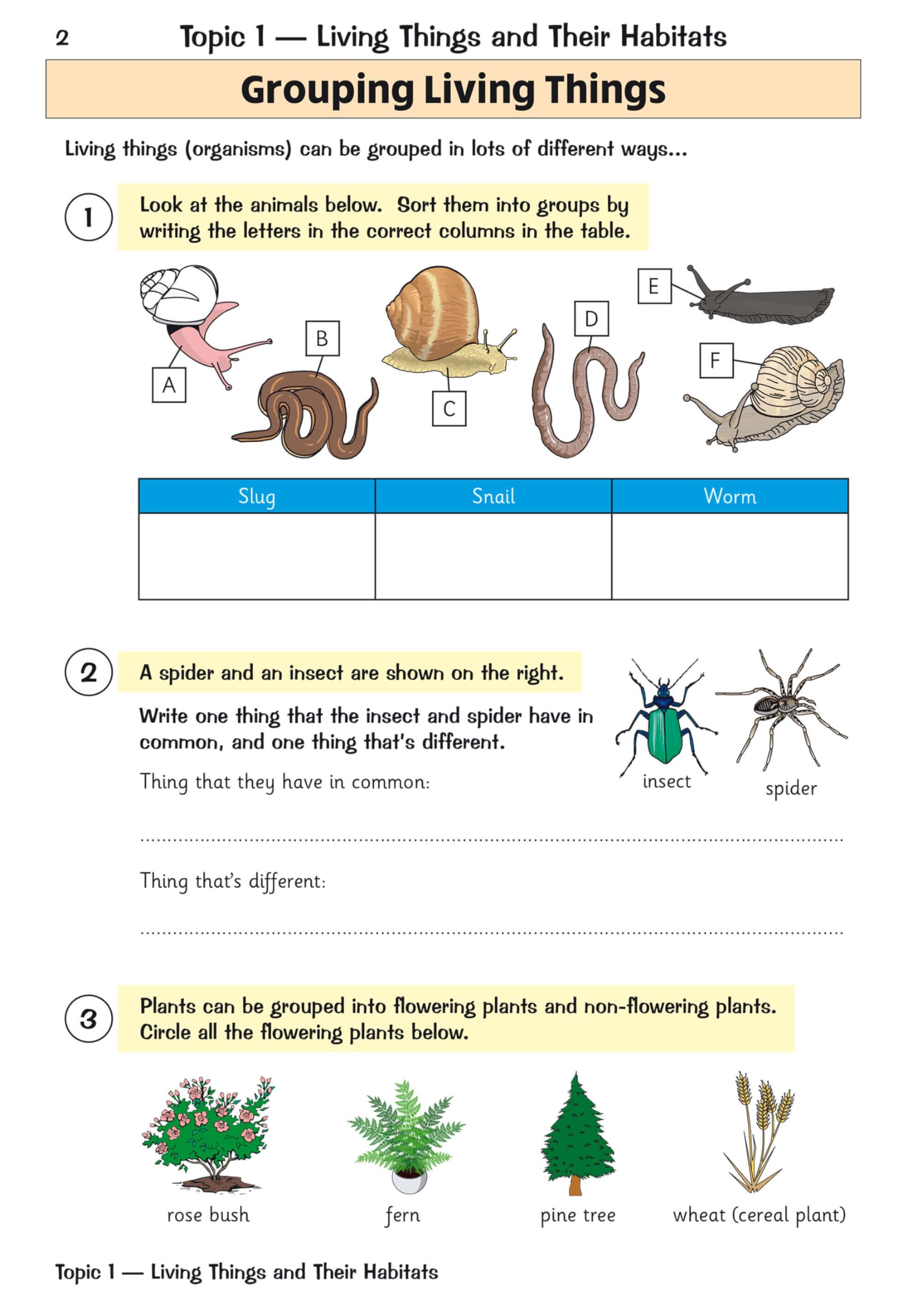 New KS2 Science Year 4 Targeted Question Book (includes answers) (CGP KS2 Science) - Image 4
