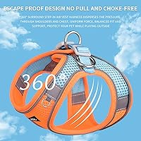 Vista 5 de AIITLE Arnés de Paso y Conjunto de Correa para Perro - Chaleco de Arnés a Prueba de Escape Sin Tirones con Malla Suave y Bandas Reflectantes