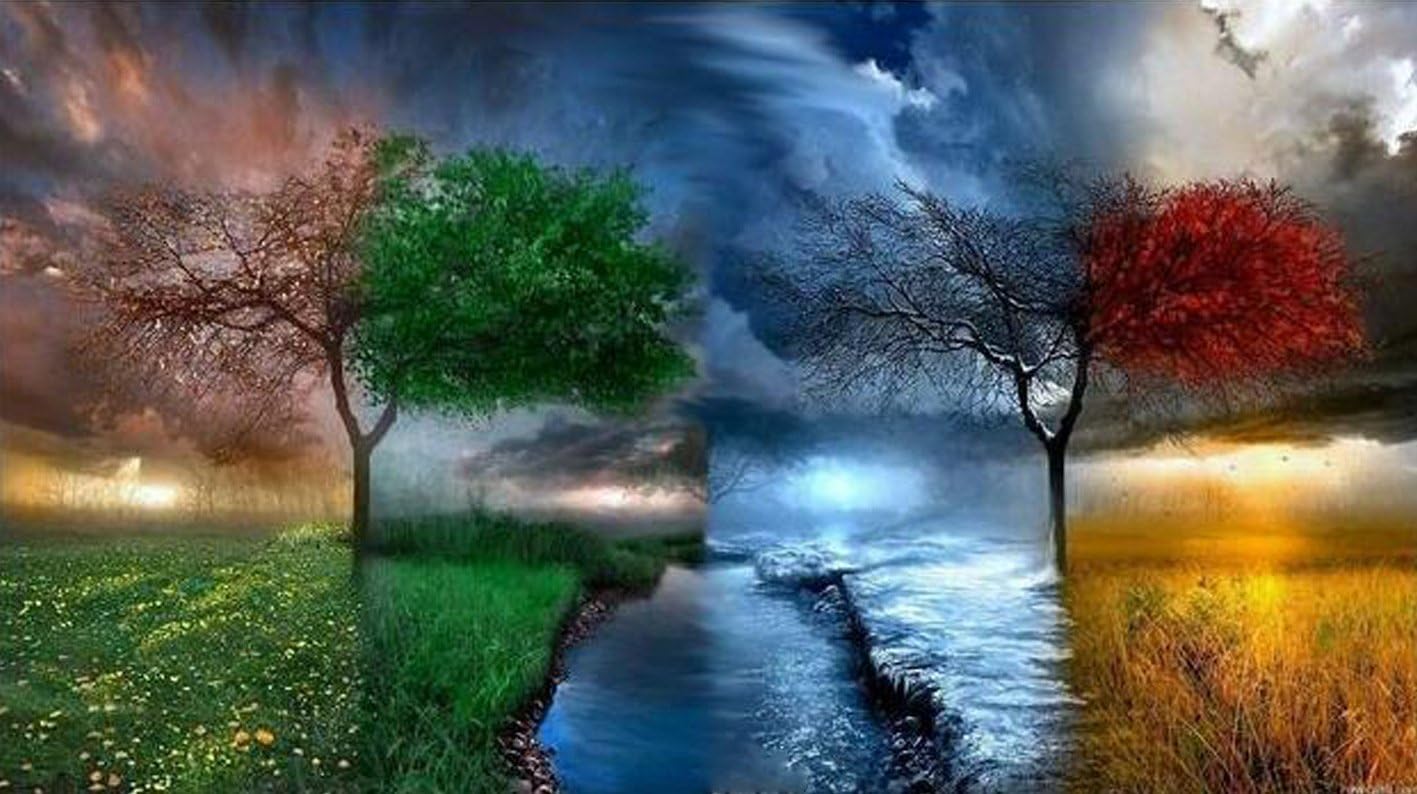 DIY 5D Diamond Painting Kit, Full Diamond Seasons Tree Embroidery Rhinestone Cross Stitch Arts Craft Supply for Home Decoration (11.8'in×15.8'in)