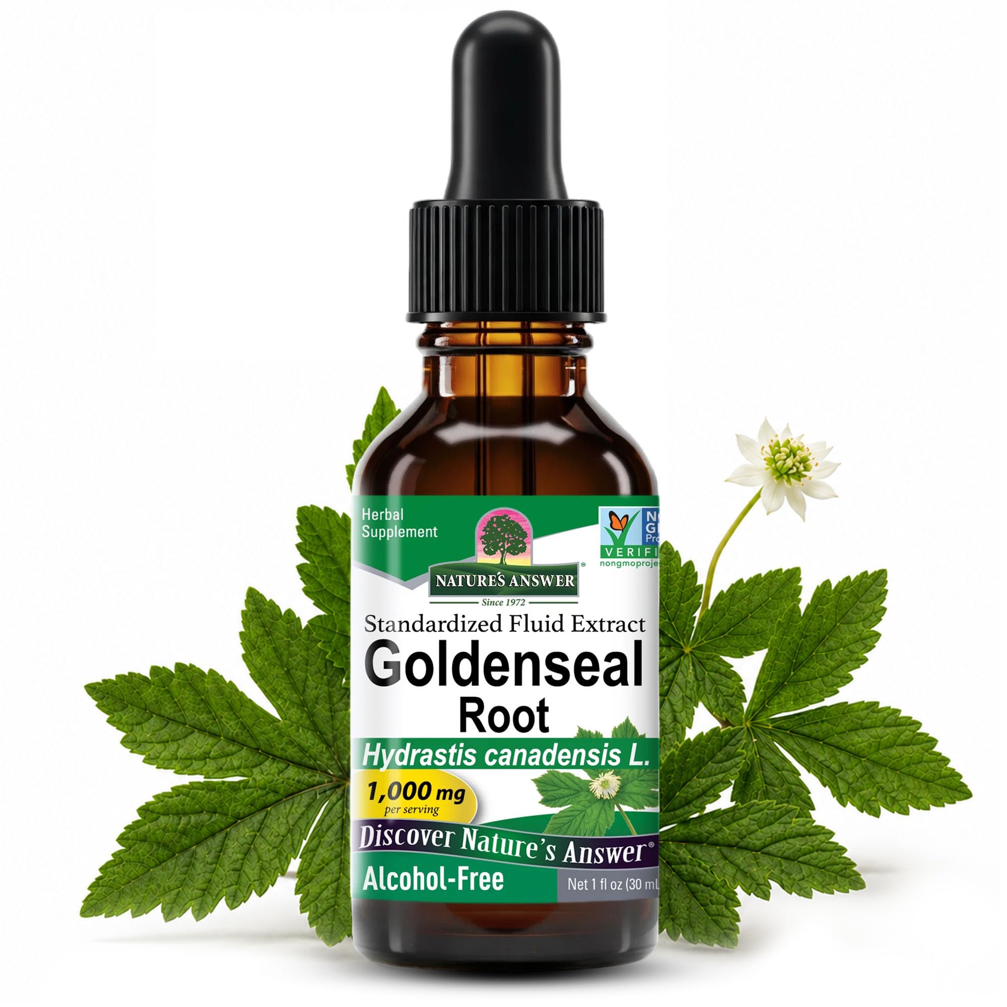 Nature's Answer Goldenseal Root | Herbal Supplement | Supports A Healthy Immune System | Gluten-Free & Alcohol-Free 1oz 1 Fl Oz (Pack of 1)