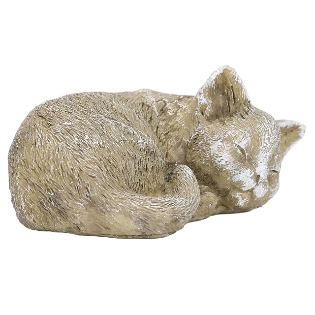 Hapivida Piedras conmemorativas de Resina para Mascotas, para Siempre en Nuestros Corazones