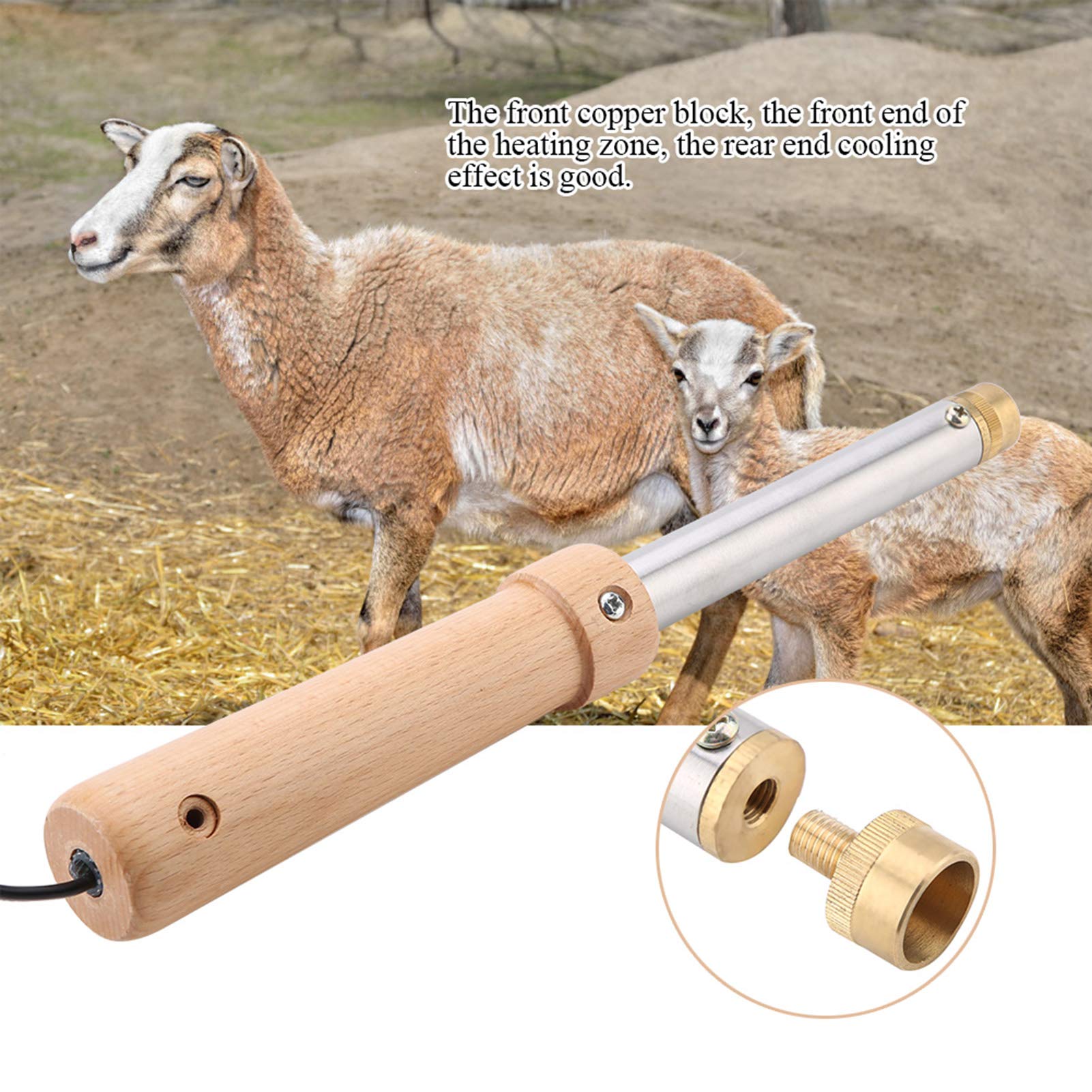 Cosiki Carnaval Commerçant Écorneur de Corne, écorneur électrique de Veau de Bloc de cuivre Avant, 220V 1 PCS Bonne Ferme de Moutons de Conduction Thermique pour Les Poulets de bétail