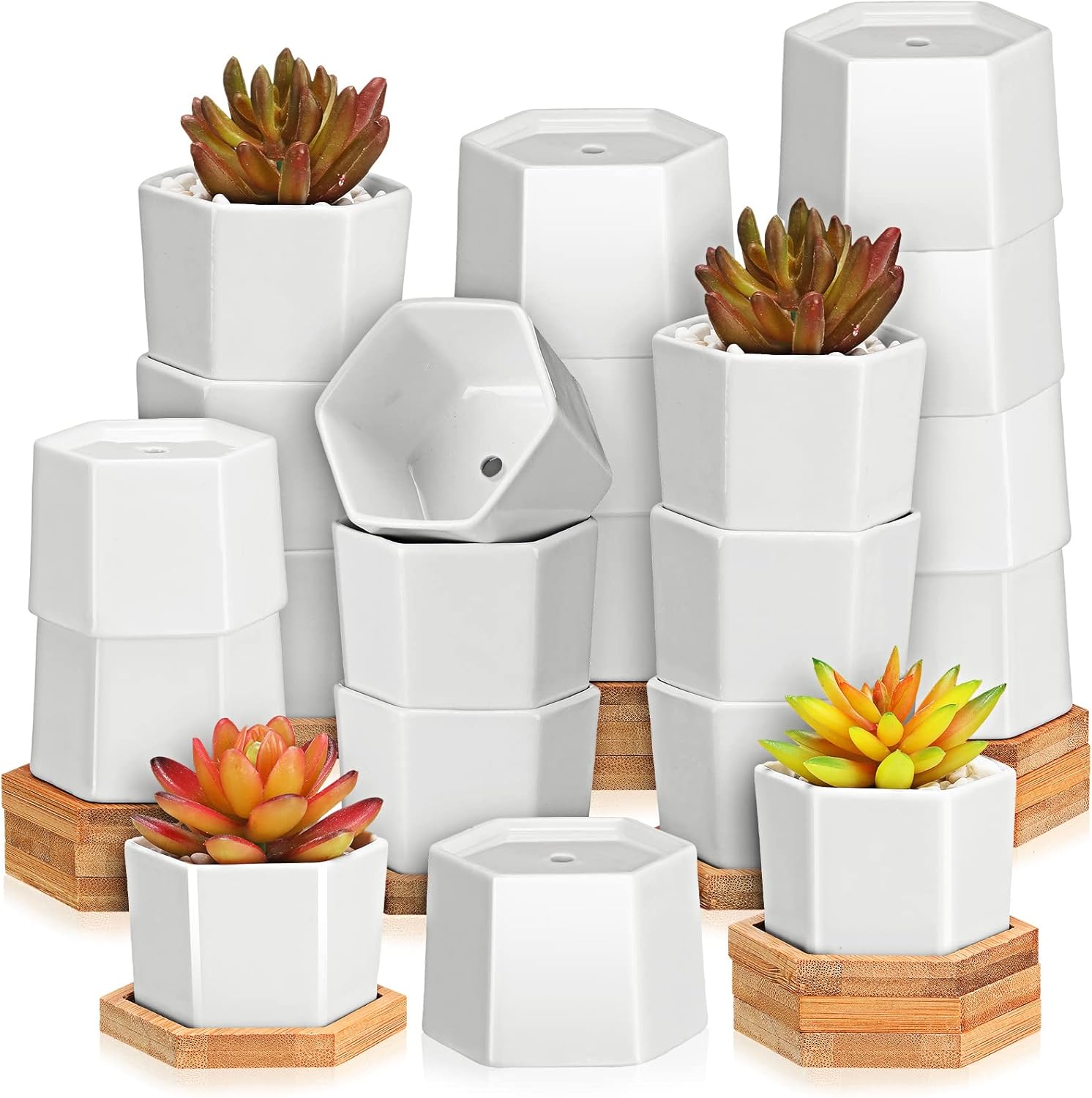 24 Pcs Succulent Pots Mini White Ceramic Flower Planter