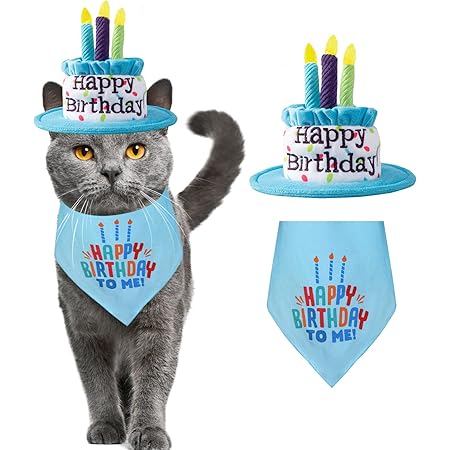 Ushang Pet Puppy & Cat Birthday Cake Hat & Birthday Bandana Scarfs Set Blue, Cat Happy Birthday Hat with Colorful Candles, Cat Birthday Party Supplies Decorations