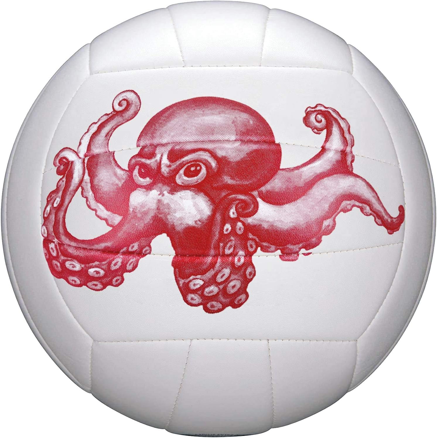 Wisdom Leaves Volleyball Official Size 5, Soft Indoor Outdoor Volleyballs for Kids/Adults Gym Beach Games Play : Sports & Outdoors