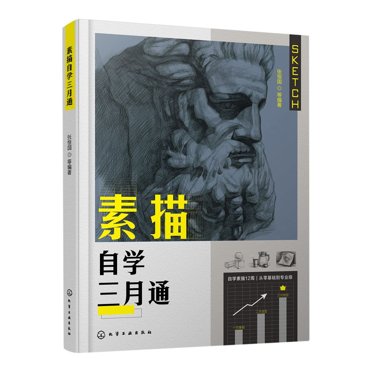 素描自学三月通化学工业张恒国，等9787122408587 : Amazon.co.uk: Books