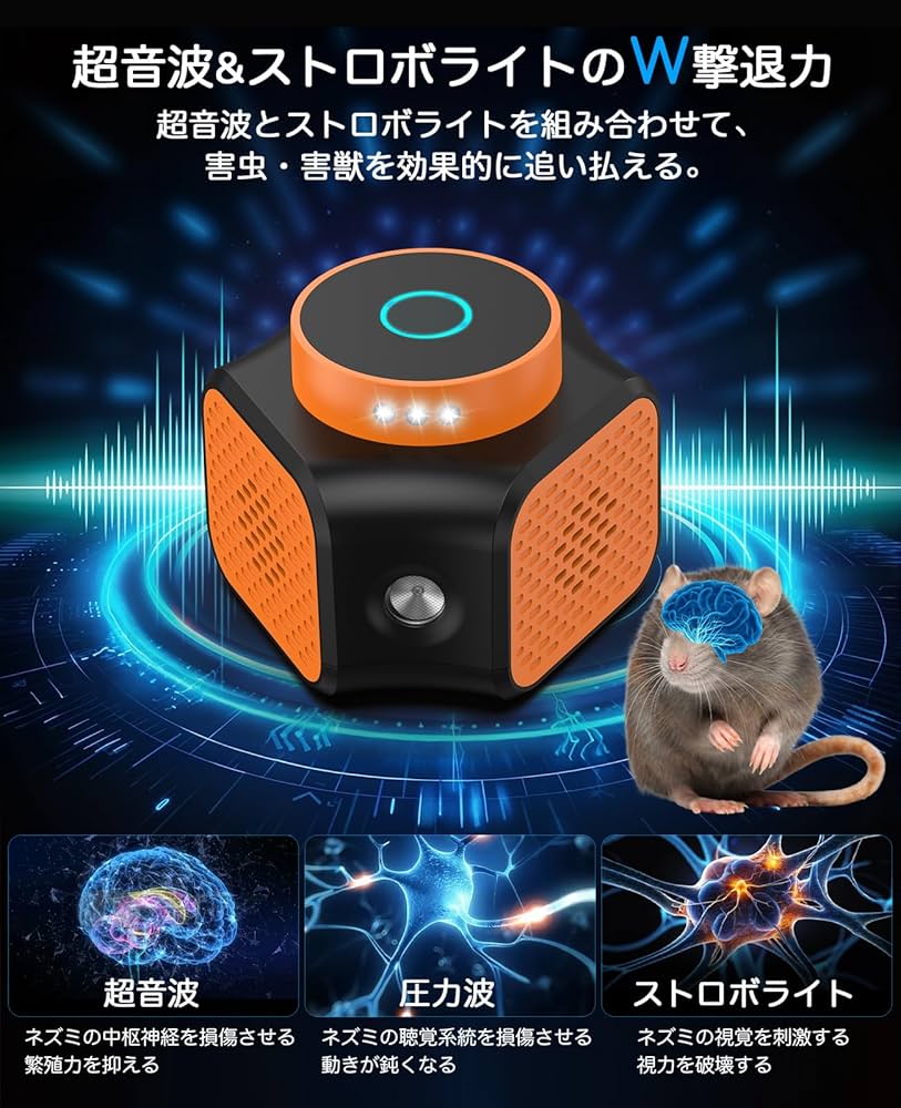 71ZMaaNrrQL._AC_UF1000,