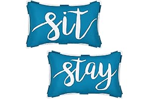 Water-Repellent Aqua Outdoor Pillows for Garden Decor