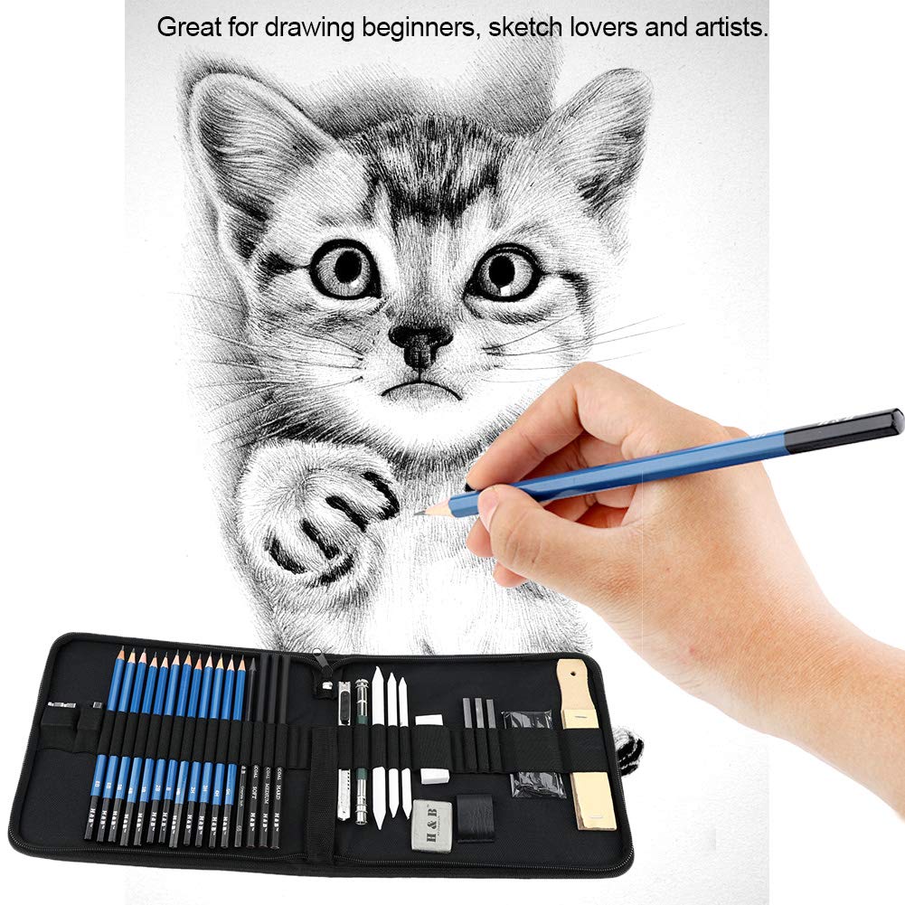 FTVOGUE Matite di Disegno Artistico, 32 Pezzi Set di Matita Set di Strumento di Matite di Legno schizzo Forniture d'arte con borsa per il trasporto, Fornire a Artista Professionale e Principianti