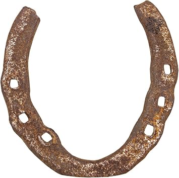 Cast Iron Good Luck Black Horse Shoe
