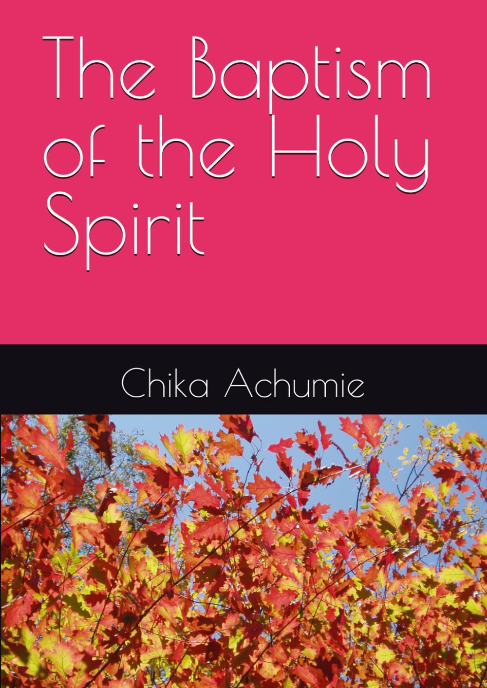 The Baptism of the Holy Spirit
