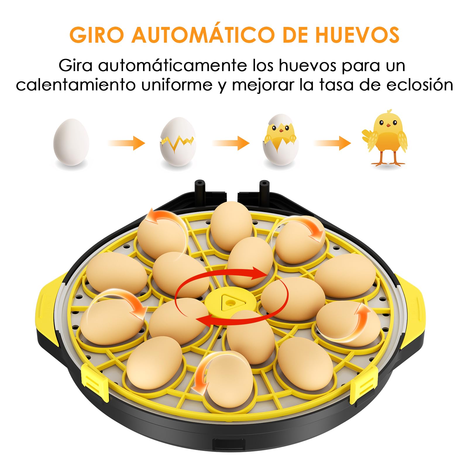 Incubadora Huevos Gallina, Incubadora Automatica para 15 Huevos Volteo Automático de Huevos, Control de Temperatura y Humedad, Adecuado para la Incubación de Huevos de Gallina, Pato, Ganso