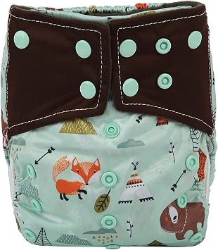 Baby AIll in One Cloth Diaper Nappy Sewn in 5 Layer Insert Reusable Washable for Night Bear Teepee