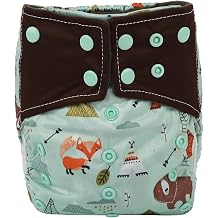 Baby AIll in One Cloth Diaper Nappy Sewn in 5 Layer Insert Reusable Washable for Night Bear Teepee
