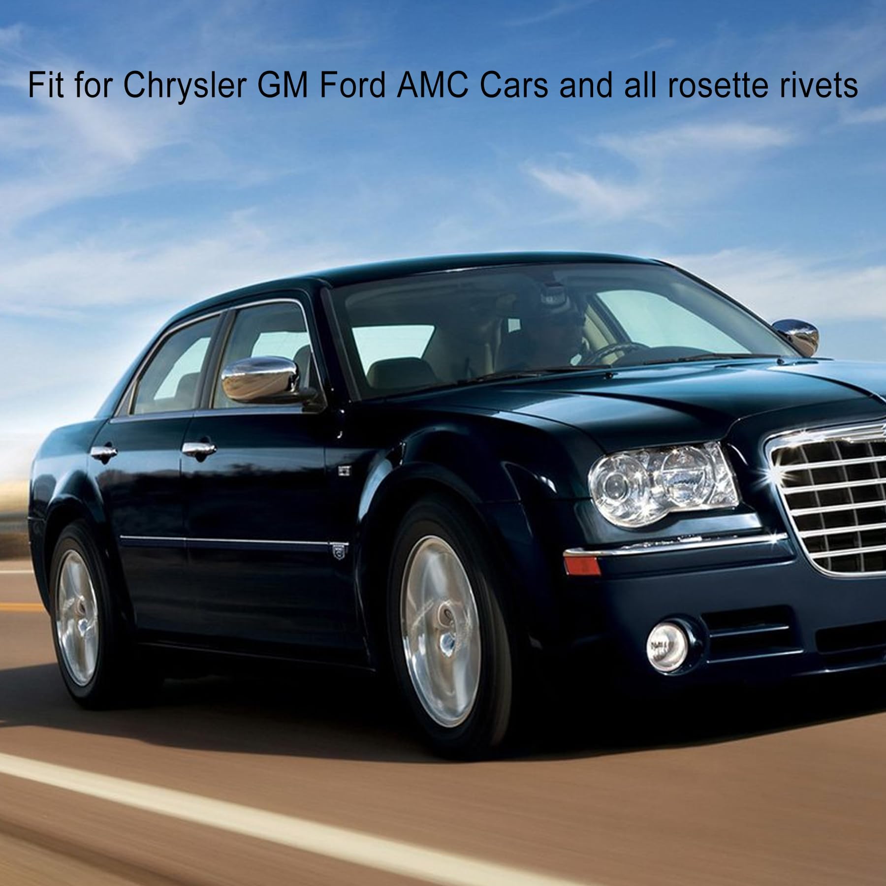 TUOSTPY 8pc Stainless Steel Rosette Rivets VIN Door Tags Fit for Chrysler GM Ford AMC Cars (Silver)