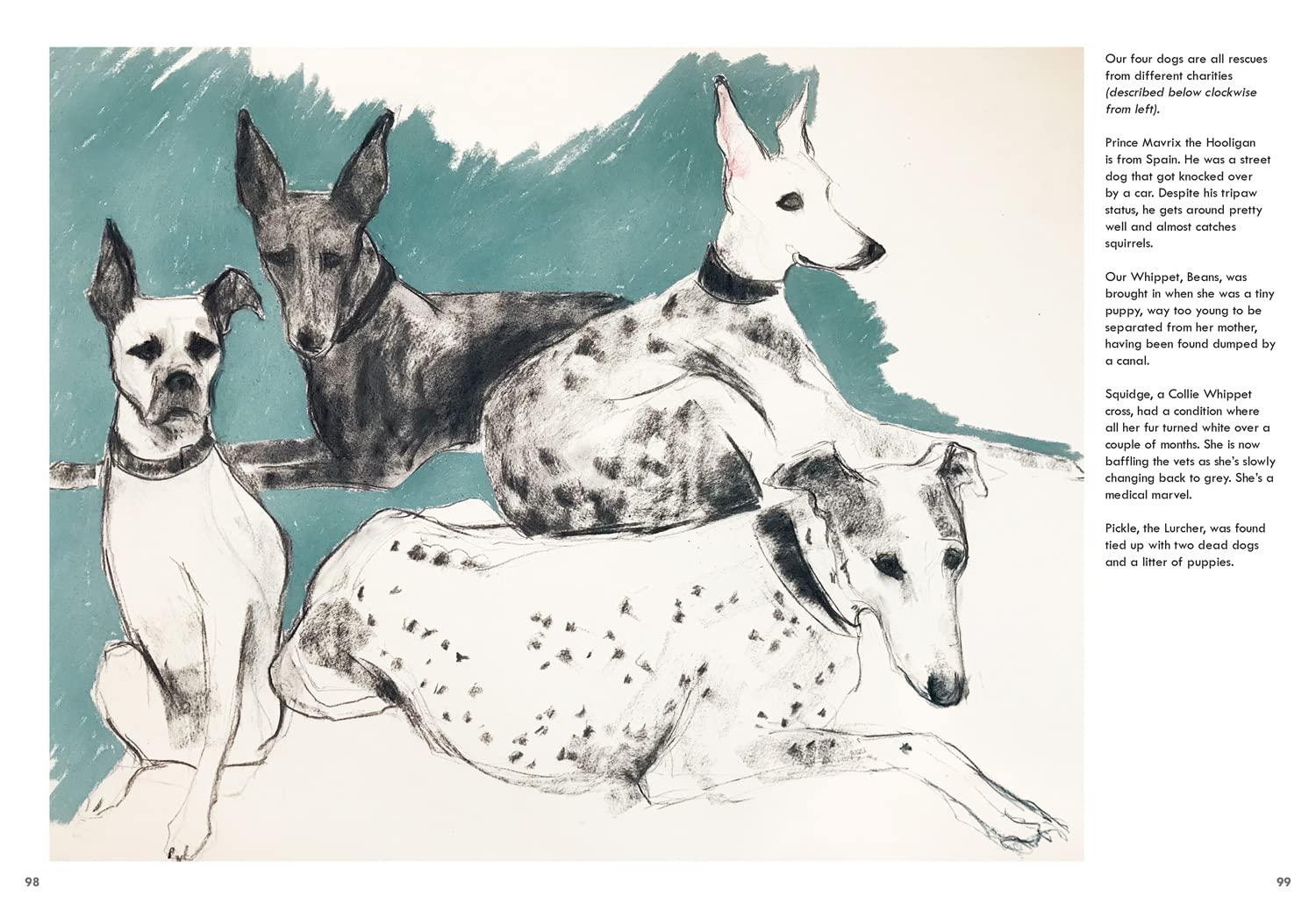 Rescue Dogs: A beautiful portraiture book of man’s best friend, the perfect gift for artists and pet lovers alike