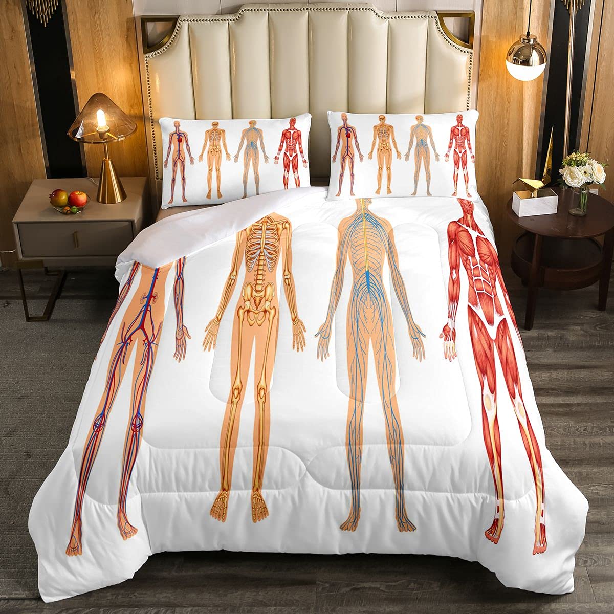 Loussiesd Human Anatomy Soft Duvet Kids Teens Vintage Chart Of Body Front Back Skeleton and Muscle System Bone Duvet Insert Ruby Cream Room 2Pcs Single Size — image 1
