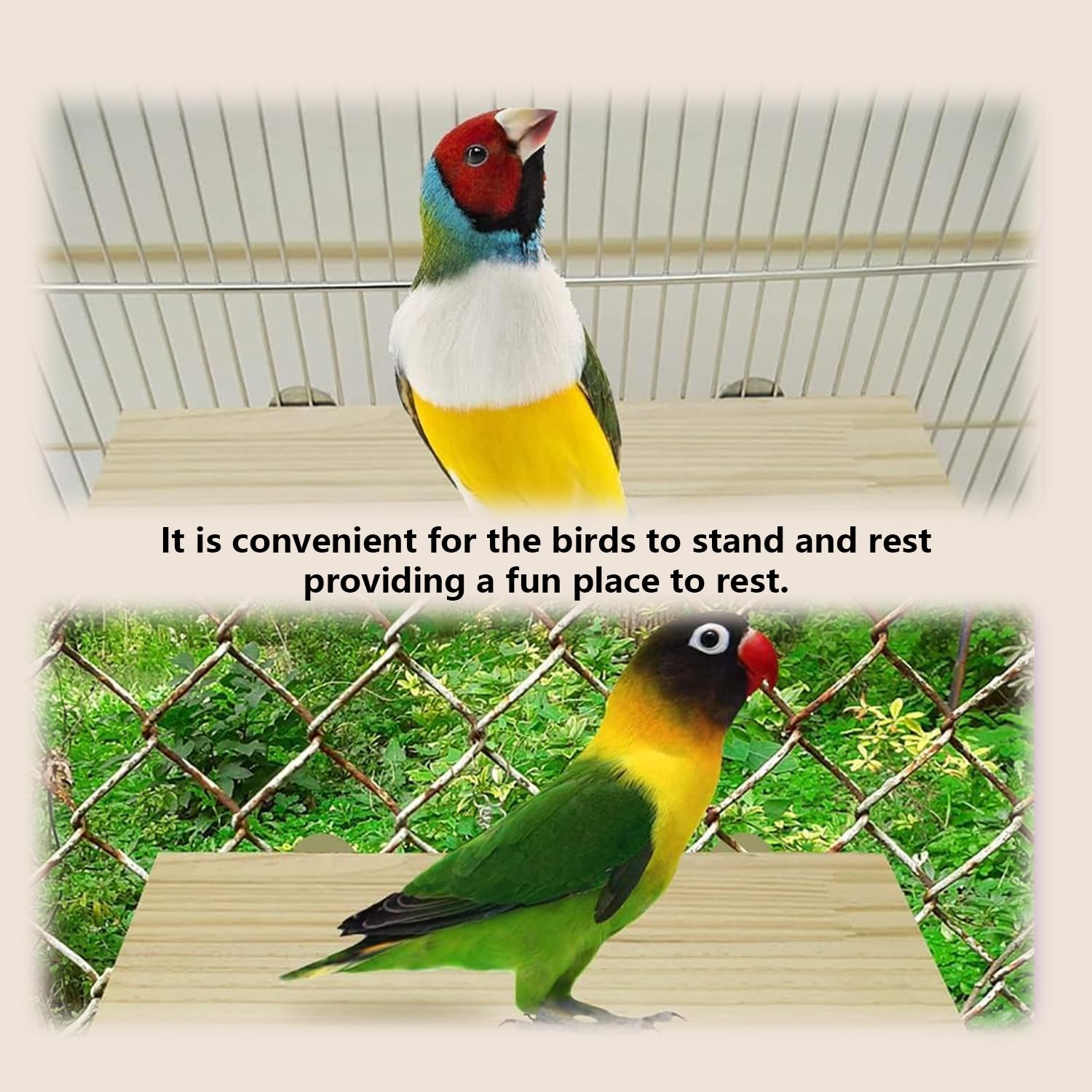 2 soportes de madera maciza para loros, juguete para pájaros y plataforma de escalada para jaula y lugar de descanso para animales pequeños