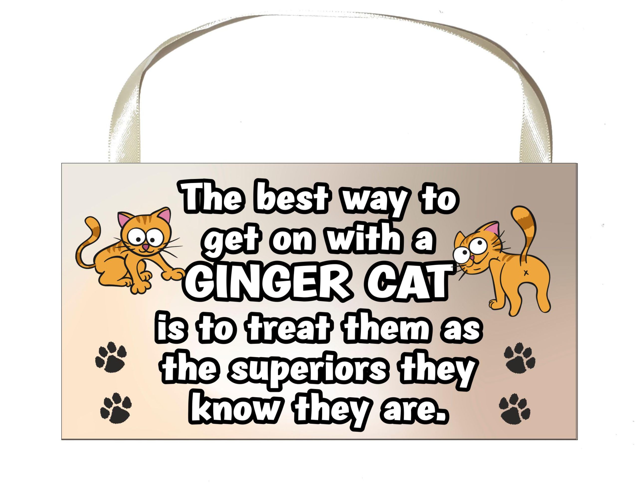 Decalarama Ginger Cat Plaque/Sign Gift - The Best Way To Get On With A - Novelty Fun Cute Pet Owner Birthday
