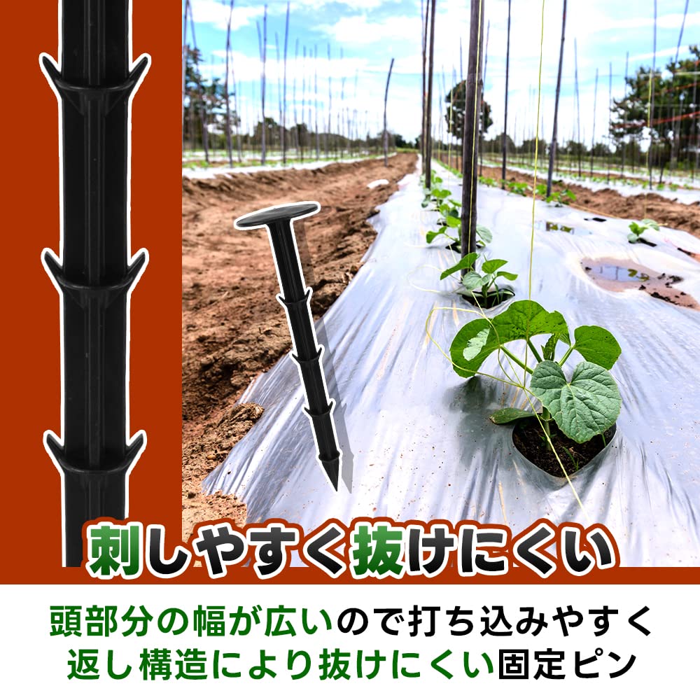 シート押さえクイ 第一ビニール らくらくシート押さえピン 長さ20cm 300本入りの販売