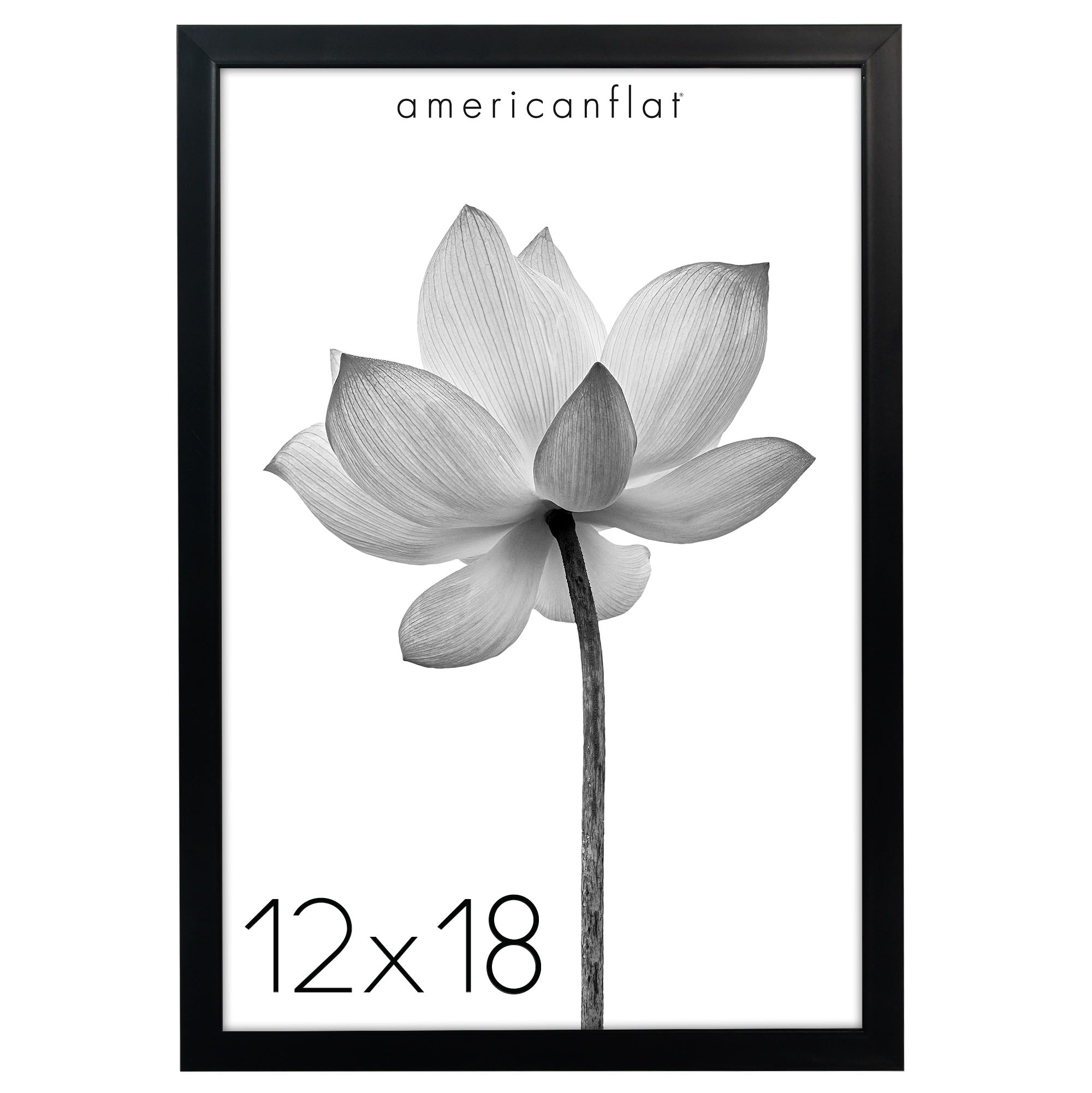 Americanflat 12x18 Picture Frame in Black - Deep Molding Frame with Plexiglass Cover and Hanging Hardware Included for Wall Display
