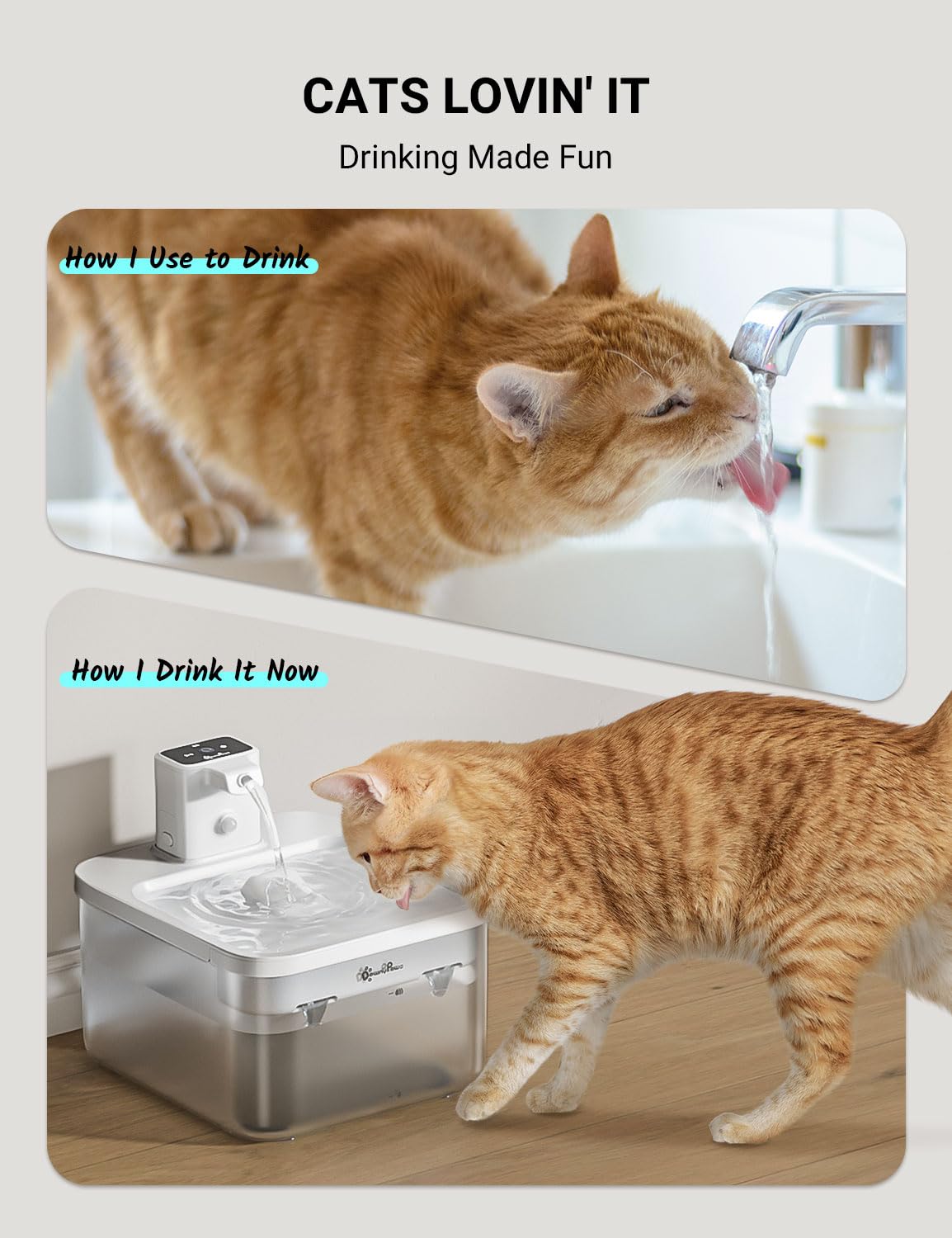 DownyPaws Katzenbrunnen Filter 6er Pack für Fursink Trinkbrunnen für Katze WFP6, 2-Monats-Set Ersatzfilter für Katzentrinkbrunnen