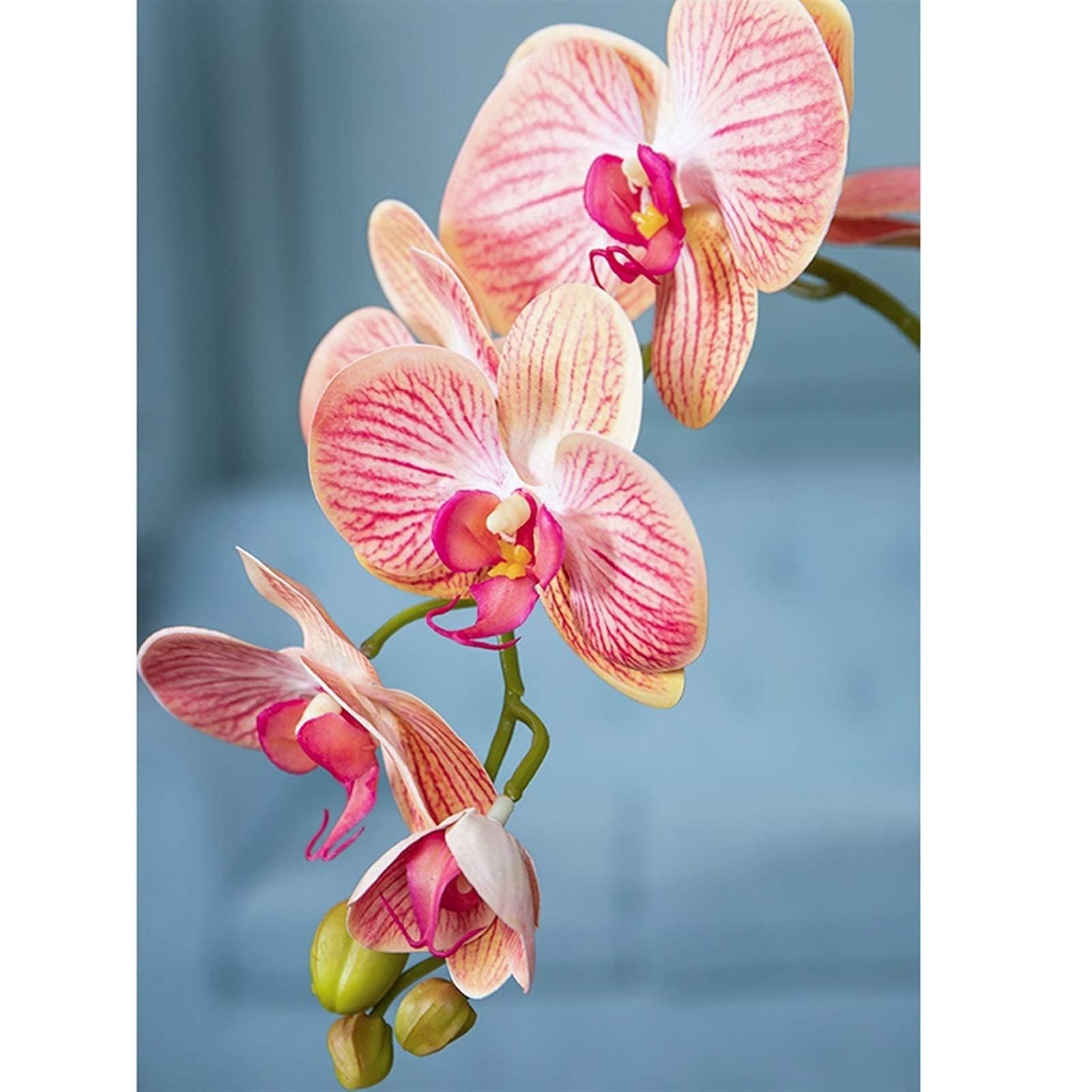 Set di Fiori Artificiali, Fiori di Orchidea Artificiali in Vaso Bonsai Phalaenopsis Pianta Finta Fioriera Finta Centrotavola per composizioni di Soggiorno Decorazion