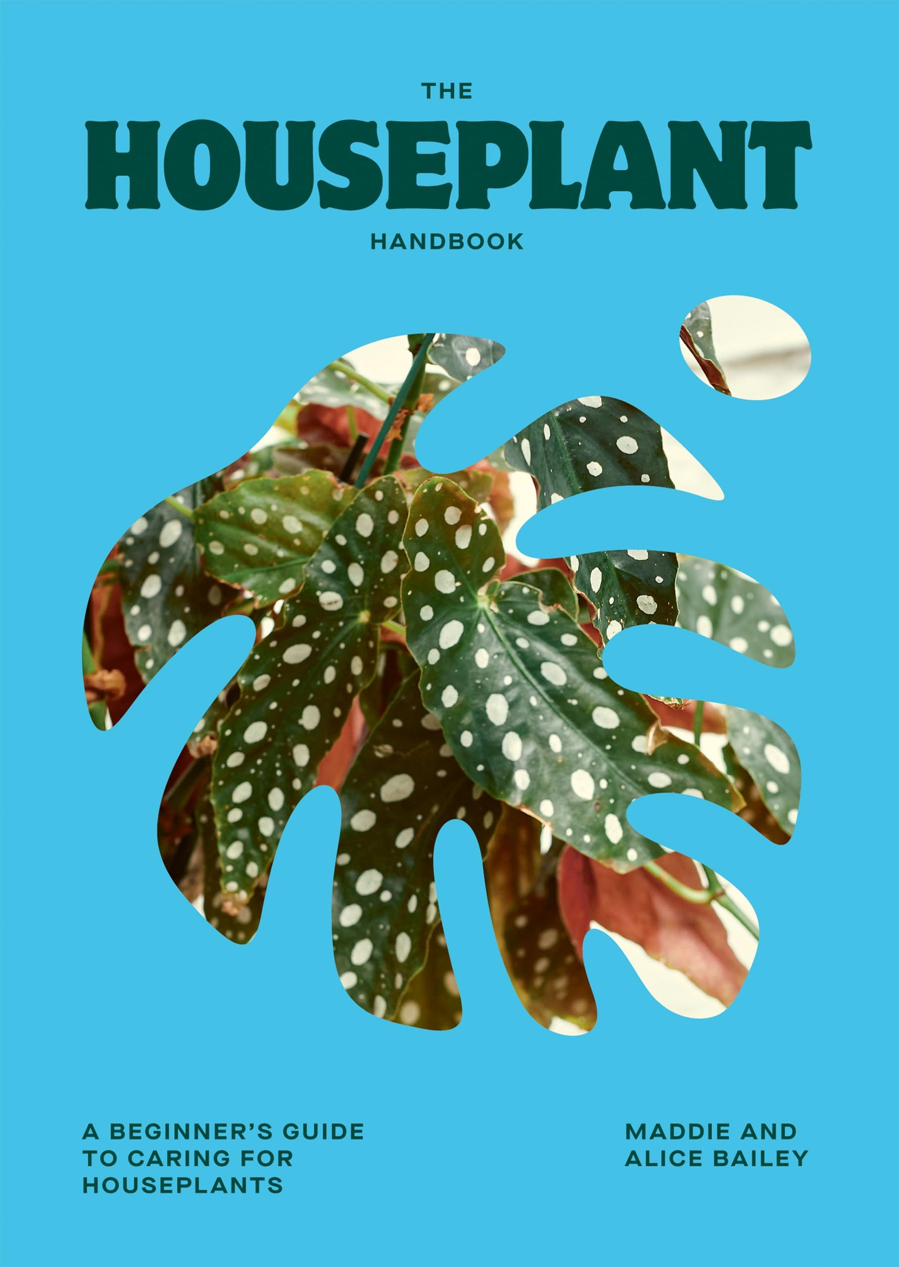The Houseplant Handbook by Alice Bailey (Hardback Book)