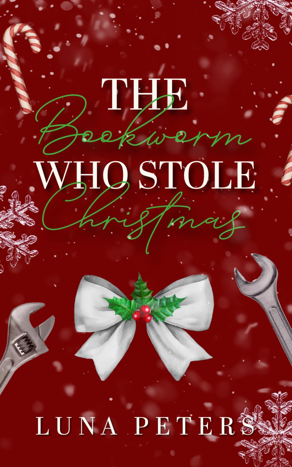 The Bookworm Who Stole Christmas: An Age Gap Grumpy/Sunshine Single Dad Christmas Novella
