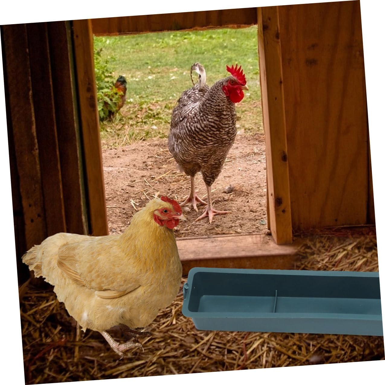 2pcs Hanging Poultry Feeder with 3 Compartments, Thickened Plastic Anti-Spill Chicken and Bird Cage Food Holder for Parakeet and Parrot Feeding