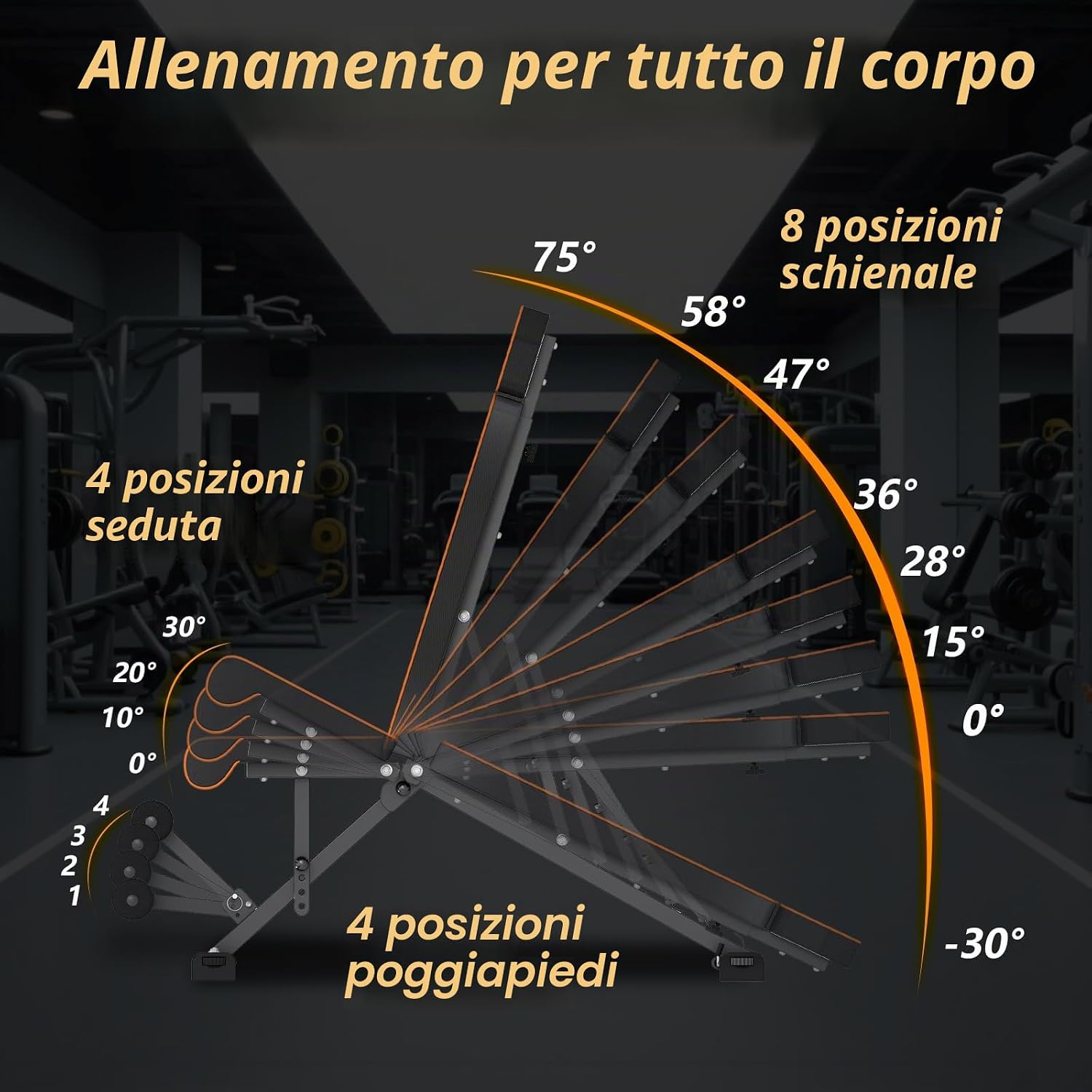 Diagram illustrating the multiple adjustment options of the Dskeuzeew weight bench, including 8 backrest, 4 seat, and 4 footrest positions.