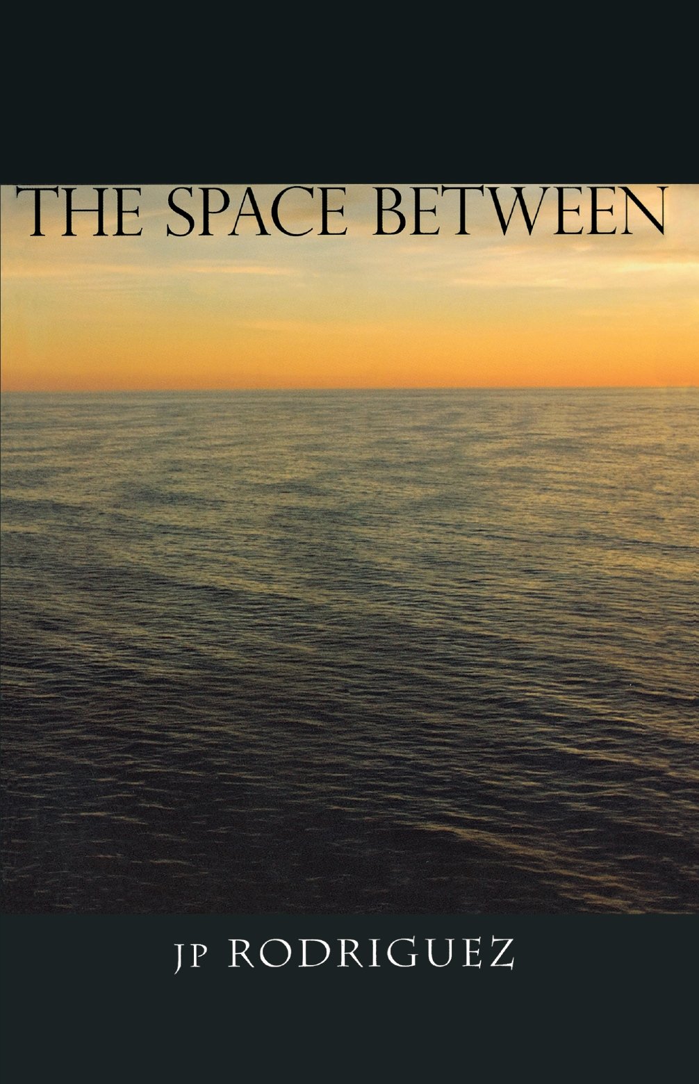 Buy The Space Between — BookShops.in