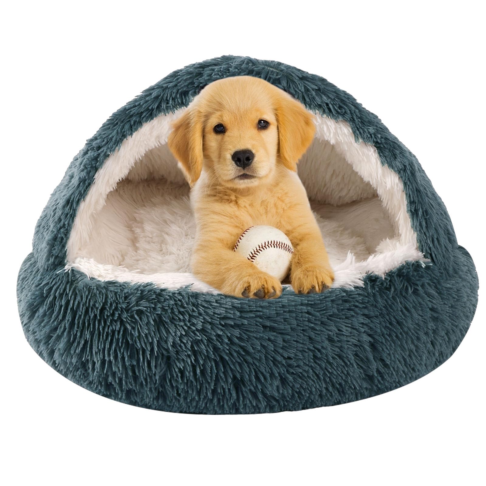 Cama Perro Pequeño PATAM Cama Para Gatos/Perros Pequeños Buddy