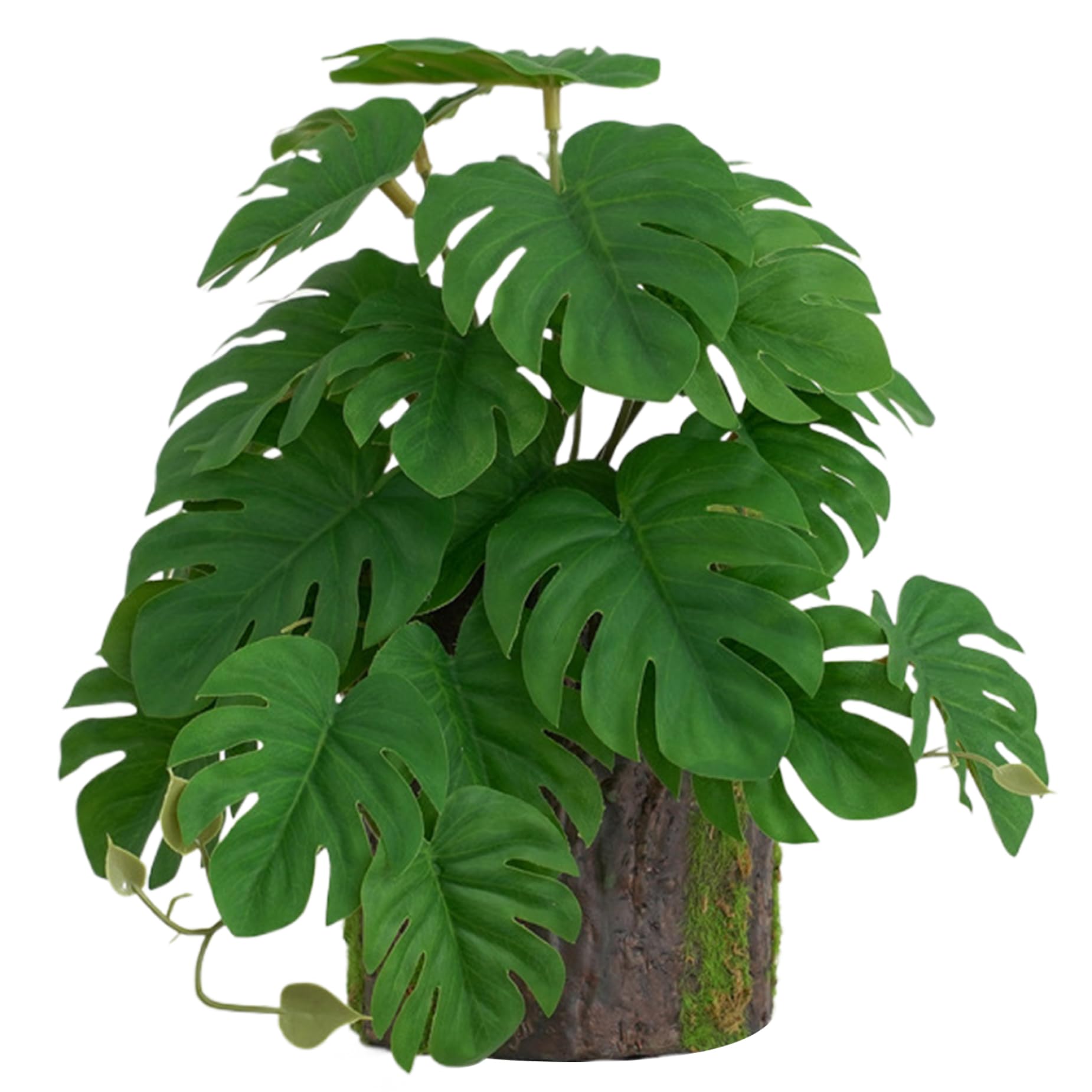 Plantes de Terrarium, Plantes Reptiles Fausse Plante de monstrea avec décoration de souche d'arbre