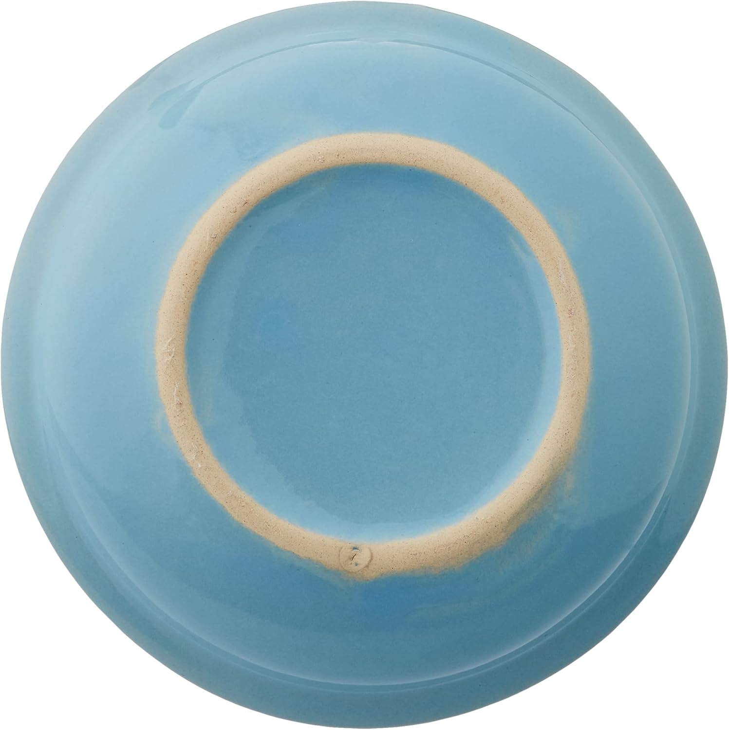 Nobby Ceramic Cat Milk Dish Diameter 14 x 2 cm 4 71ZMvl8PK0L. AC SL1500