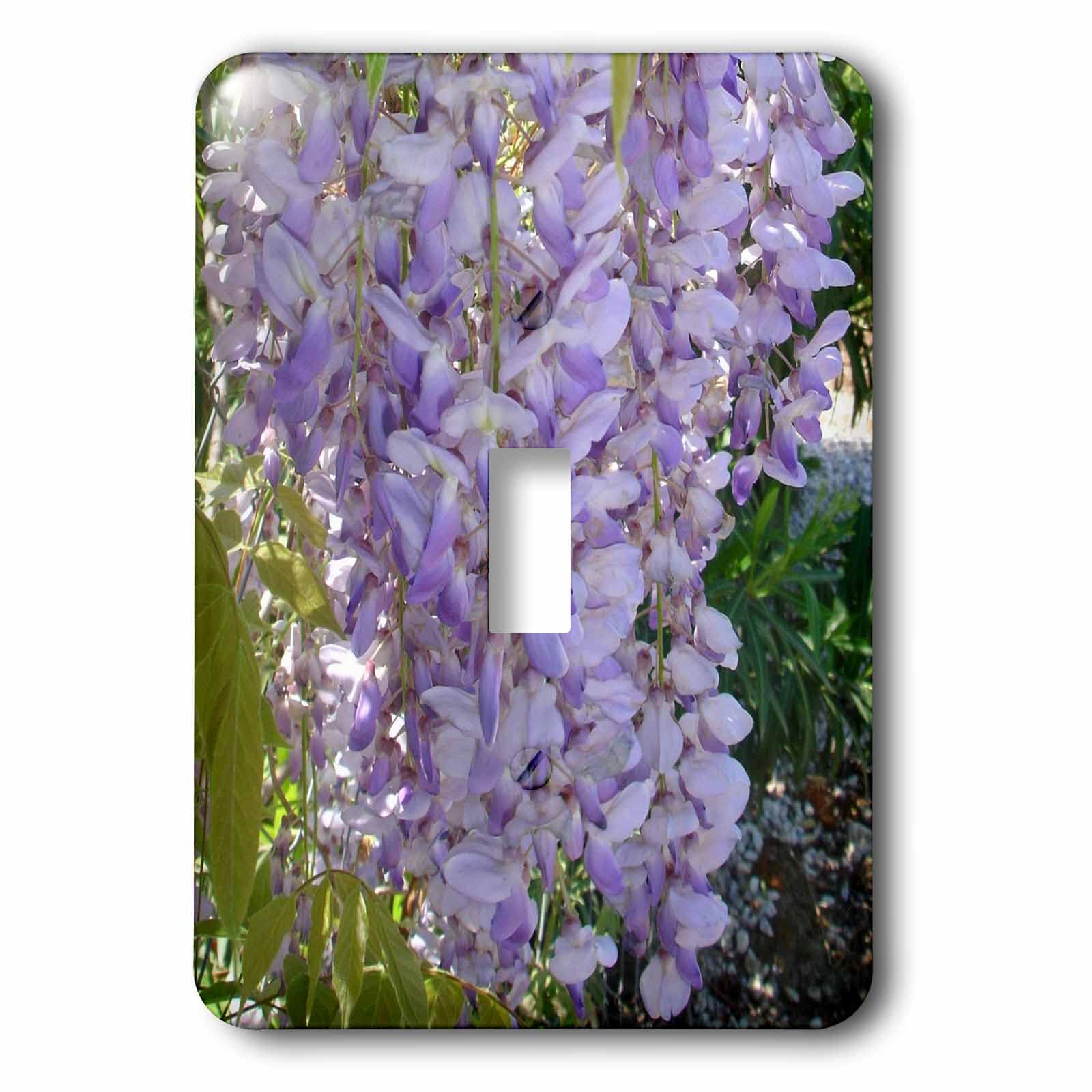 3dRose Wisteria Racemes Garden Blossom Photography - Light Switch Covers (lsp-362529-1)