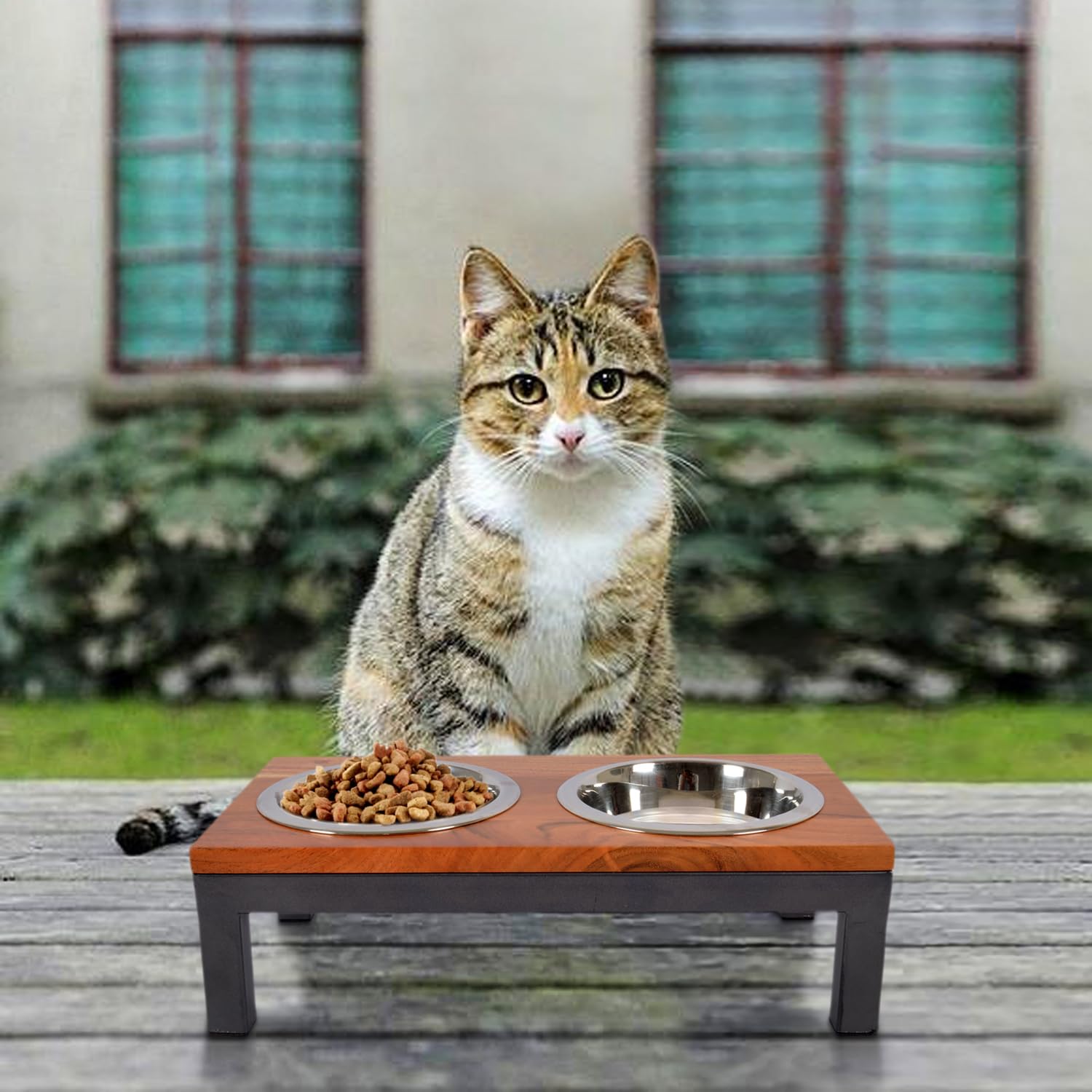See full amazon price history chart for Pure Souls Simba Pet Feeder, Natural Acacia Wood Feeders Stand, Elevated Cat Bowls 750 ml, Food Water Diner, Durable Double Bowl Feeding Stands for Cats - Small (40 x 21 x 12 cm) Pure Souls Simba Pet Feeder, Natural Acacia Wood Feeders Stand, Elevated Cat Bowls 750 ml, Food Water Diner, Durable Double Bowl Feeding Stands for Cats - Small (40 x 21 x 12 cm) (B0D3HVWSLT) Amazon Price History, Amazon Price Tracker