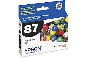 Epson T087020 UltraChrome Hi-Gloss 87 Inkjet Cartridge (Photo Black)