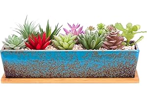 ARKKETTY 12in Rectangle Succulent Planter